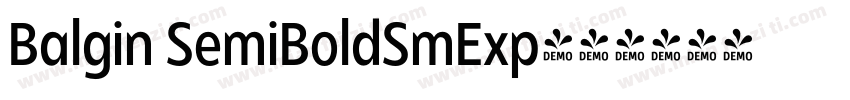 Balgin SemiBoldSmExp字体转换